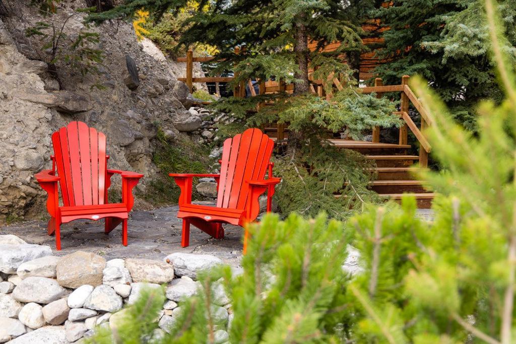 A Bear And Bison Country Inn Канмор Екстериор снимка