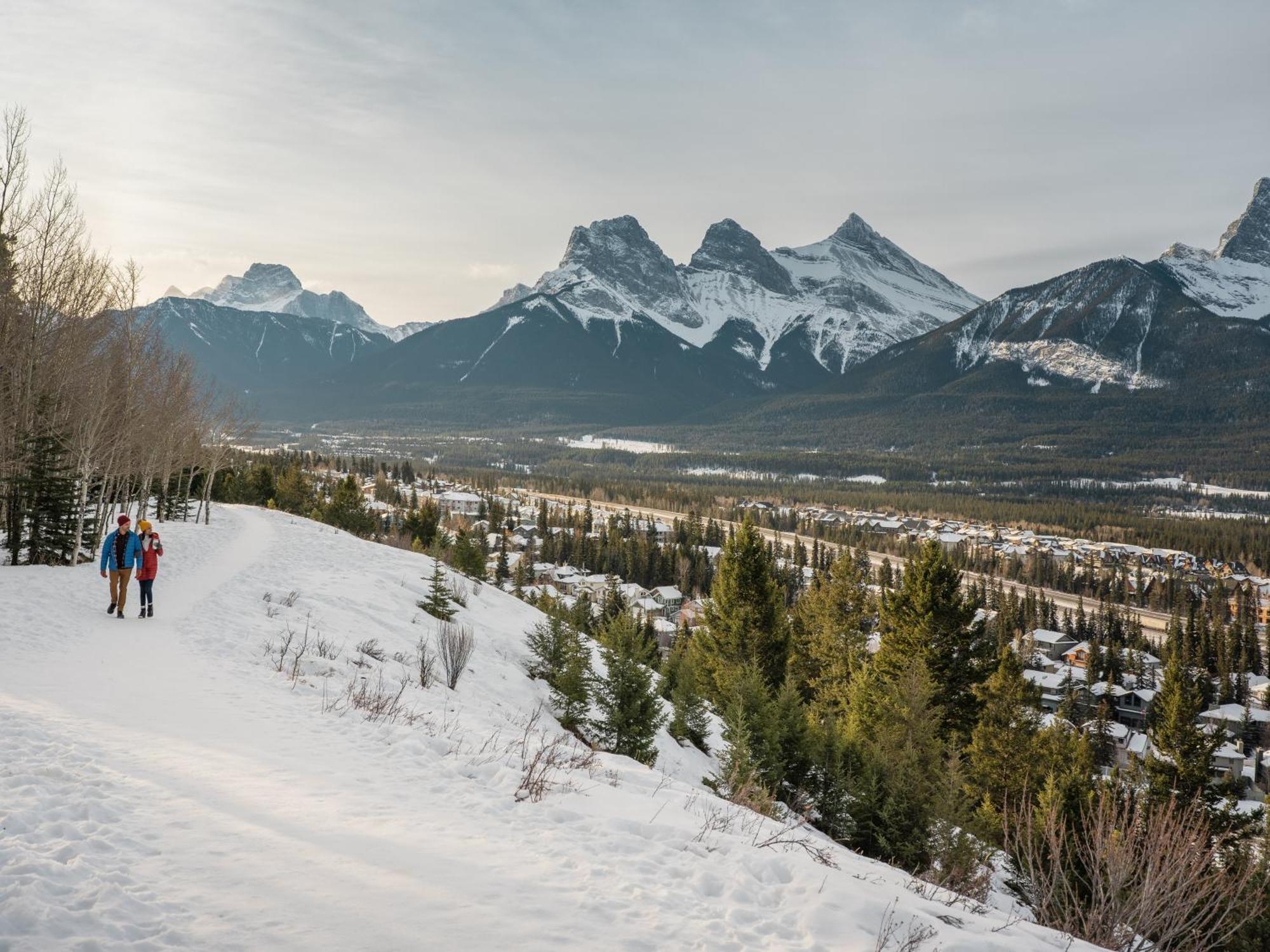 A Bear And Bison Country Inn Канмор Екстериор снимка
